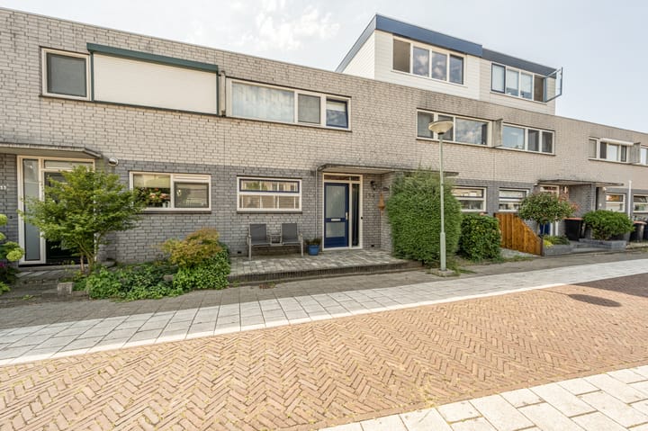 Foto 7 van Palissander 354