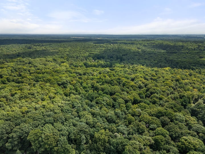 Foto 4 van Zassenkamp 2