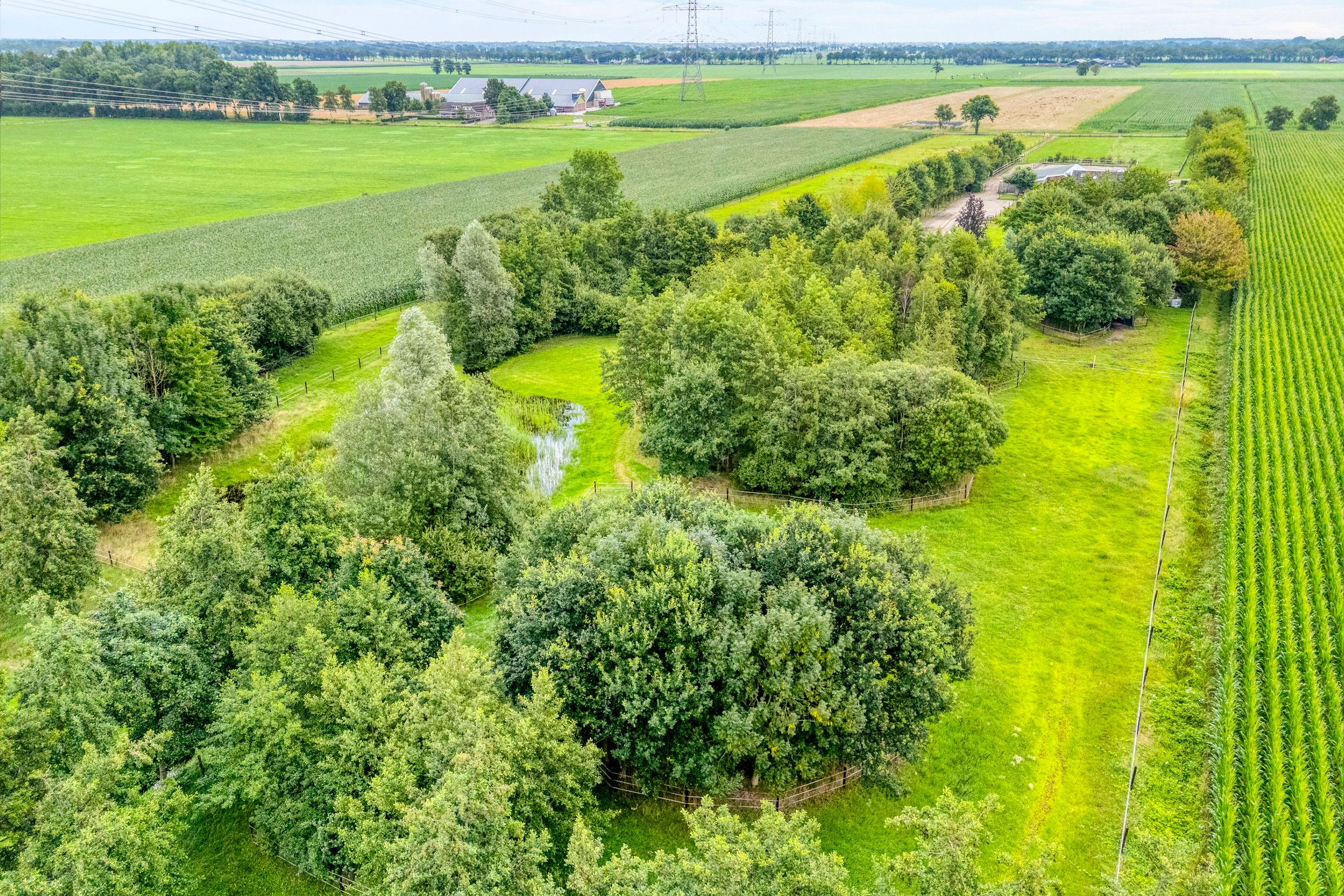 Foto 9 van Brouwersweg 1