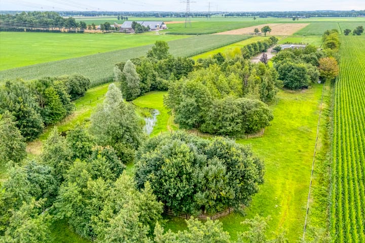 Foto 9 van Brouwersweg 1