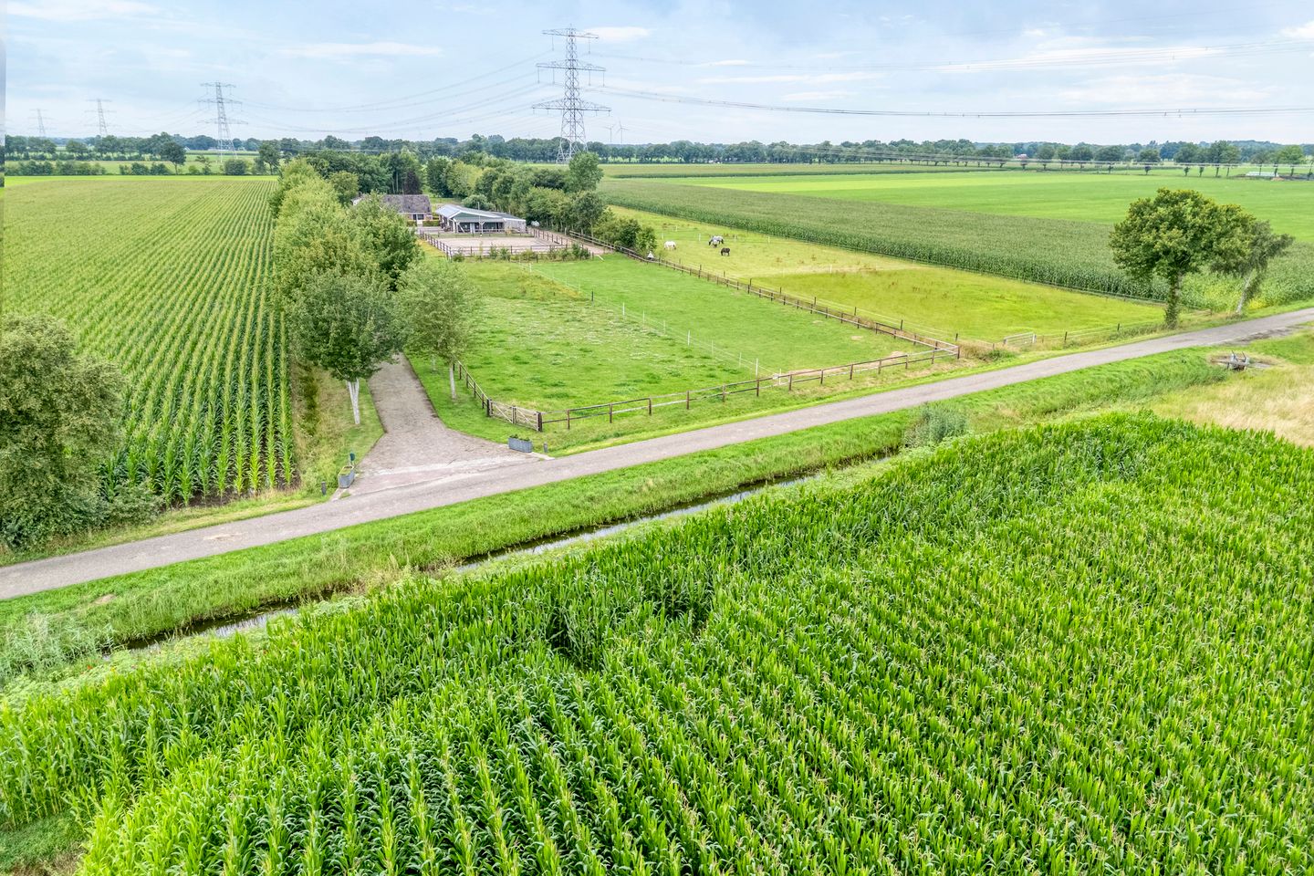 Foto 10 van Brouwersweg 1