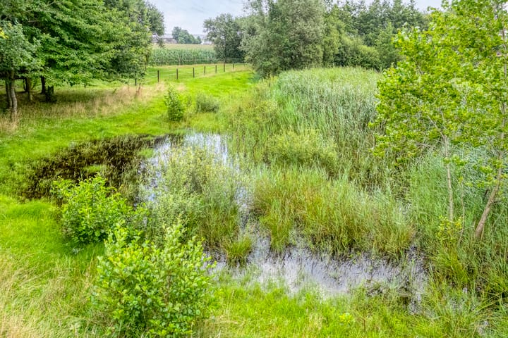 Foto 15 van Brouwersweg 1