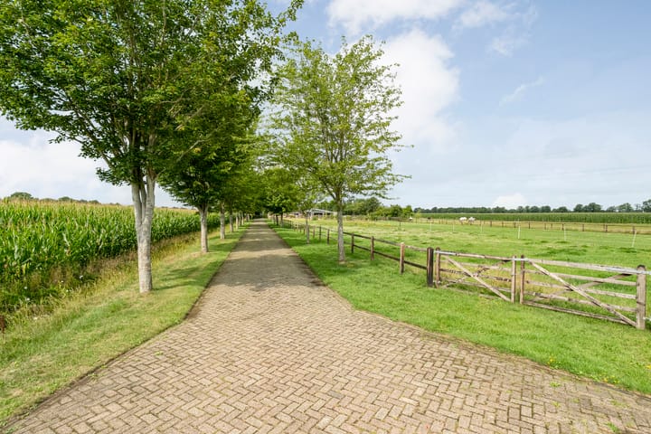 Foto 19 van Brouwersweg 1