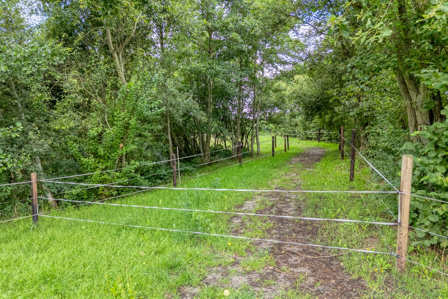 Foto 104 van Brouwersweg 1