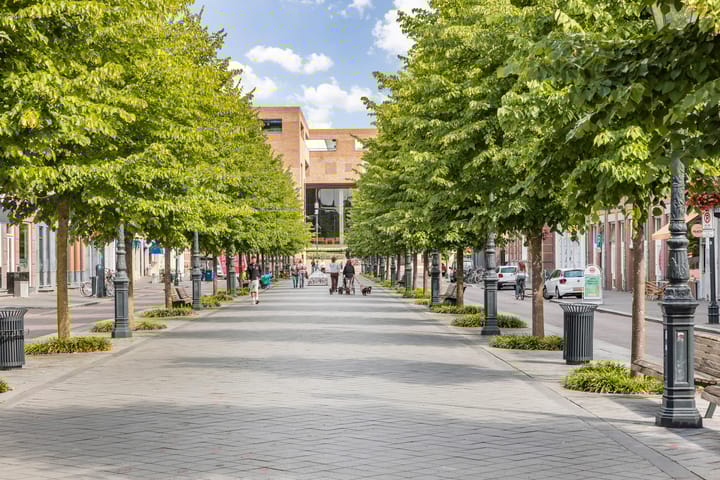 Foto 45 van Heilige Elisabethstraat 5