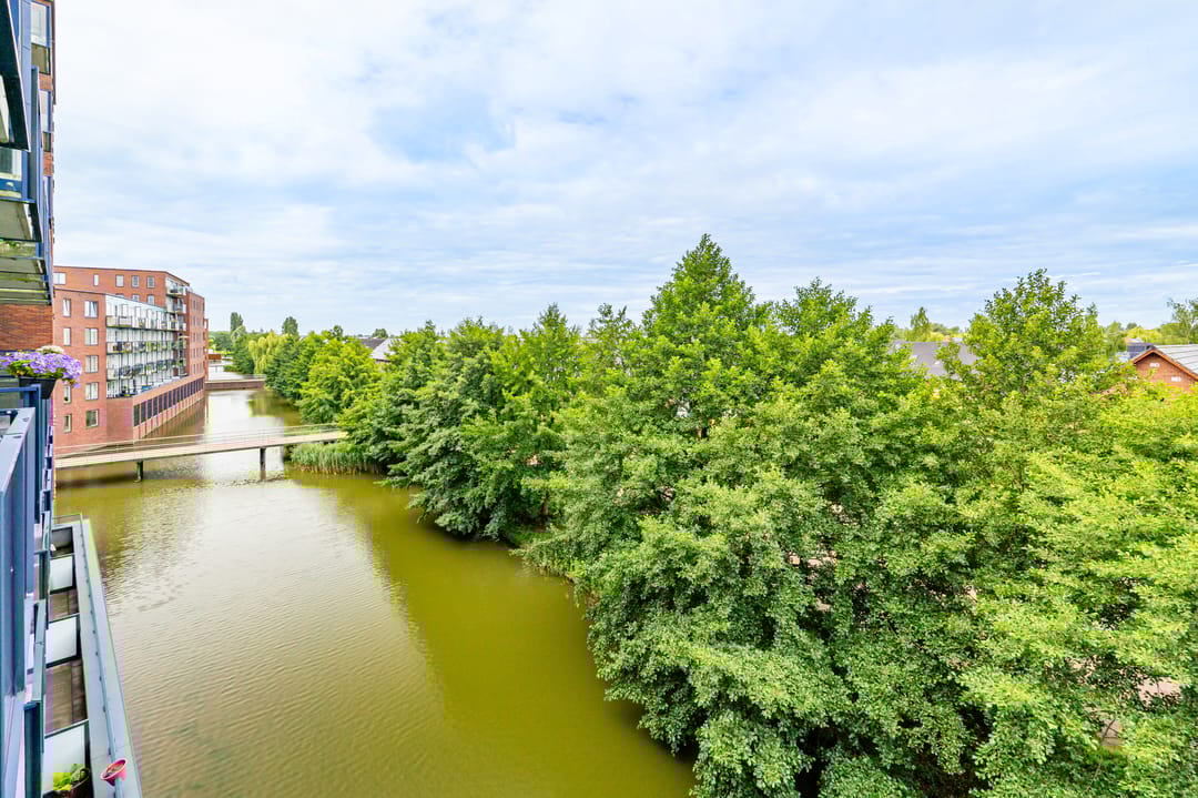 Foto 8 van Sint Janskruidlaan 114