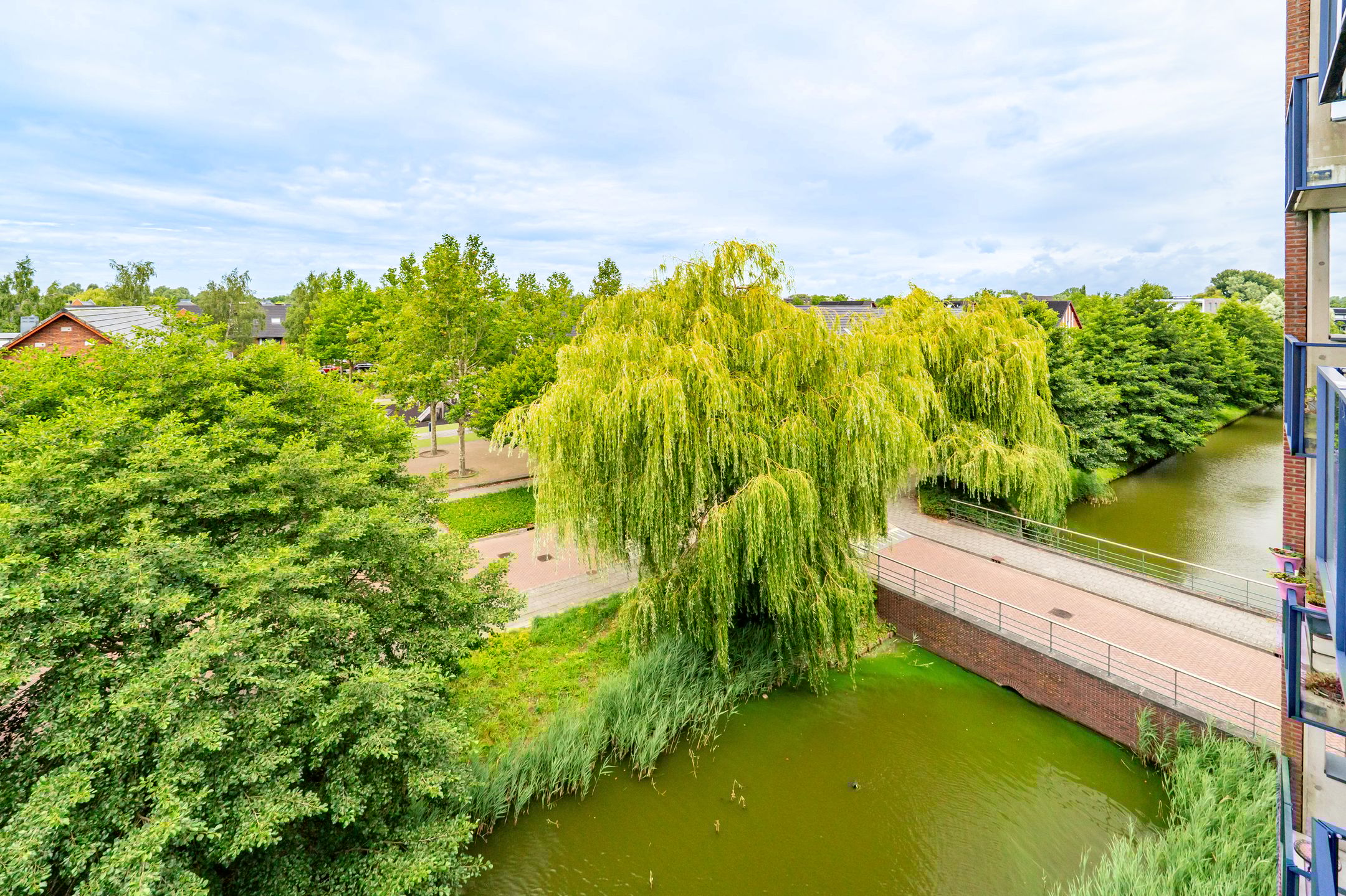 Foto 9 van Sint Janskruidlaan 114