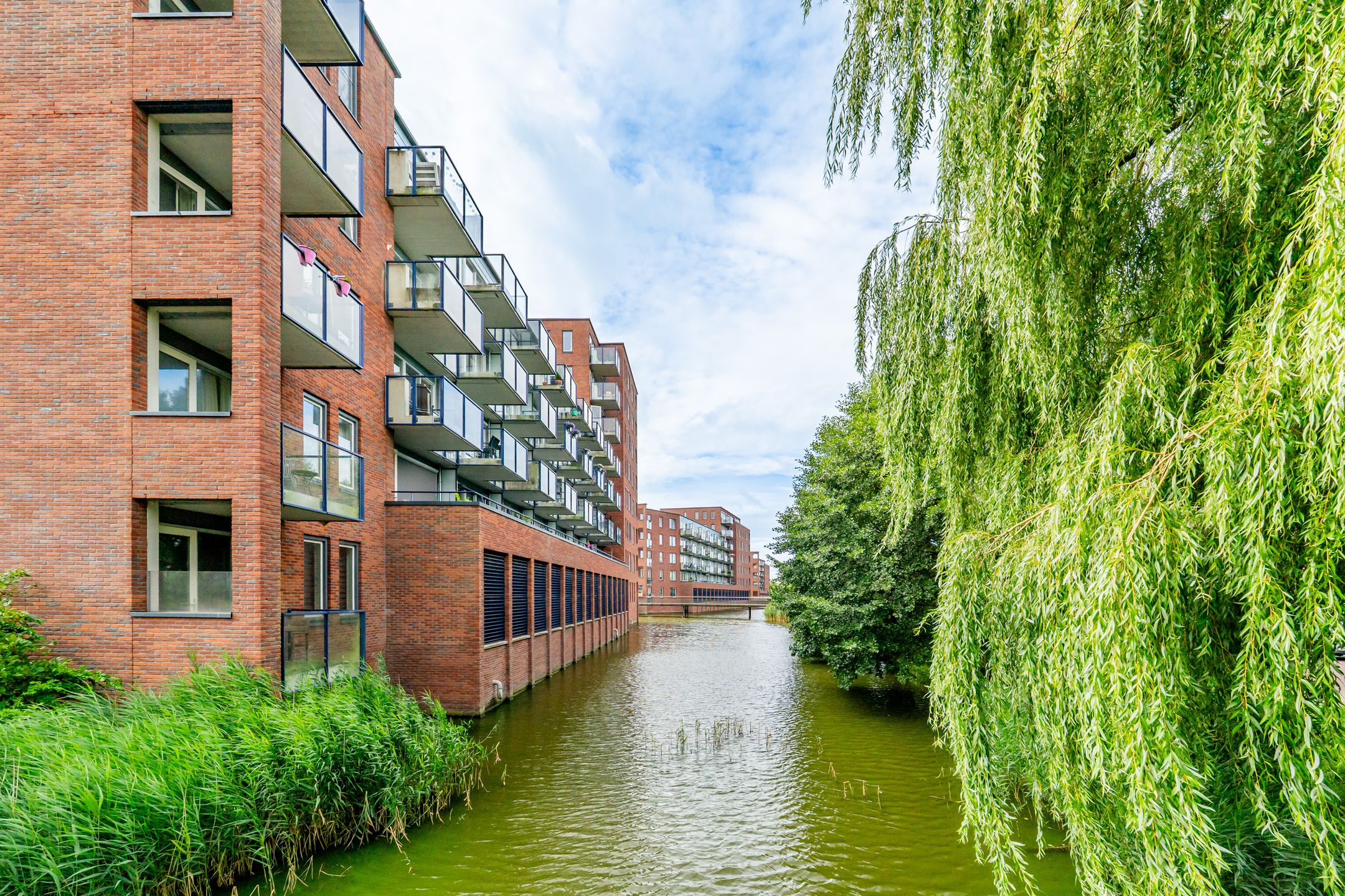 Foto 27 van Sint Janskruidlaan 114