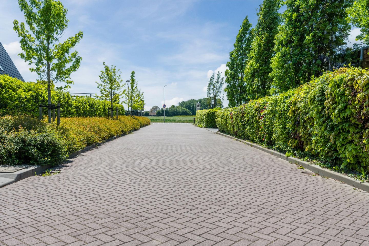 Photo 49 of Iepenlaan 5