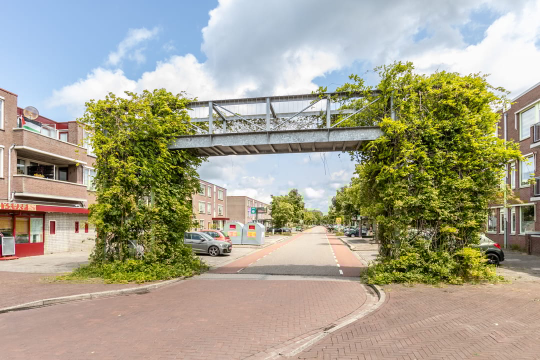 Foto 46 van Veersemeer 58