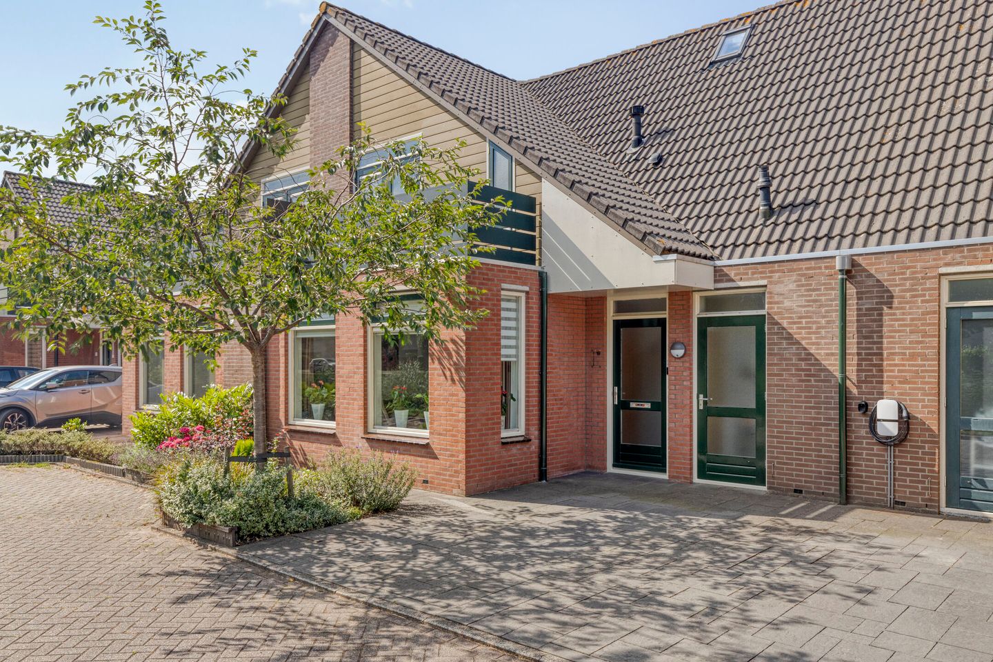 Photo 4 of IJslandmos 19