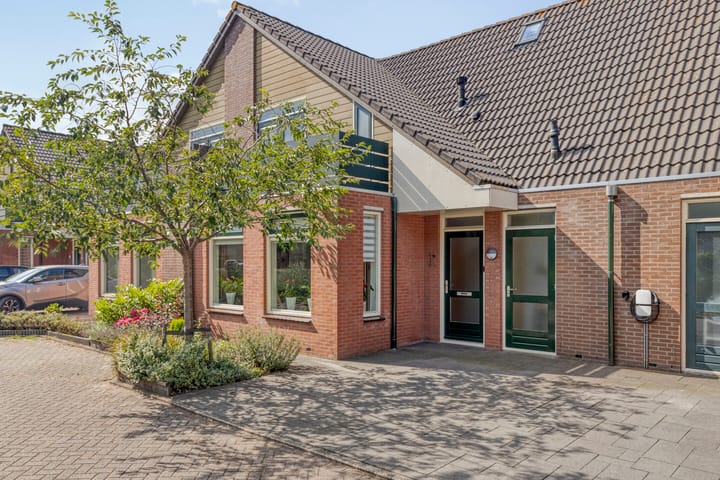 Foto 4 van IJslandmos 19