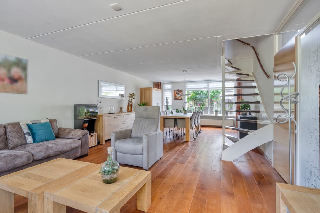 Photo 8 of IJslandmos 19