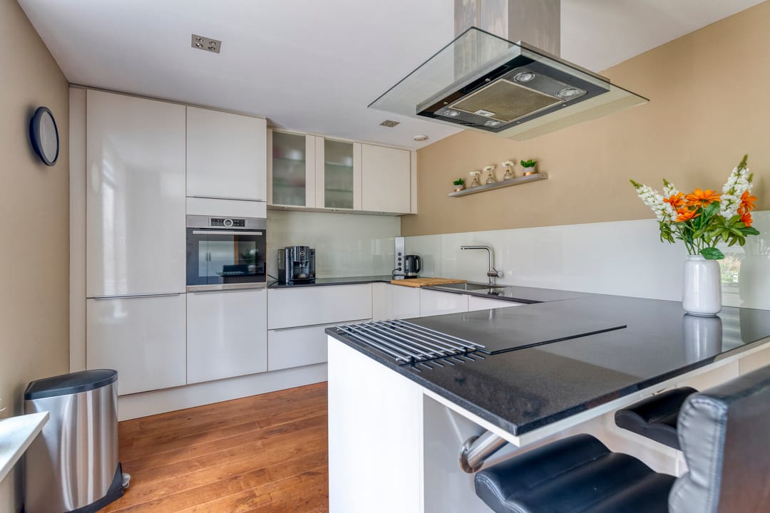 Photo 11 of IJslandmos 19