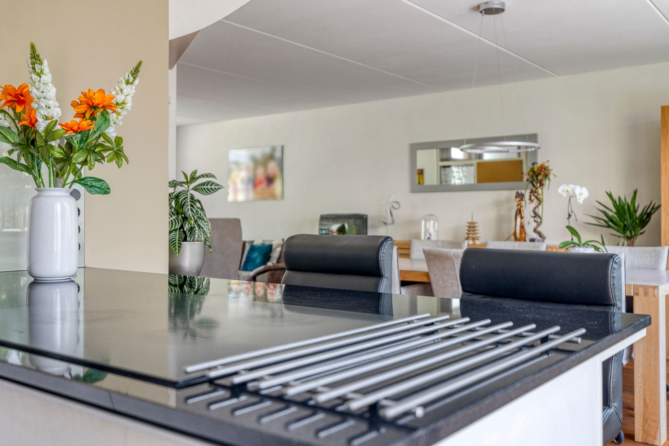 Photo 12 of IJslandmos 19