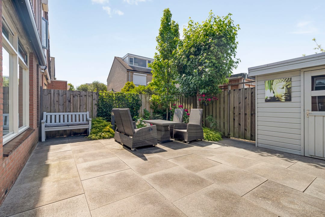 Photo 13 of IJslandmos 19