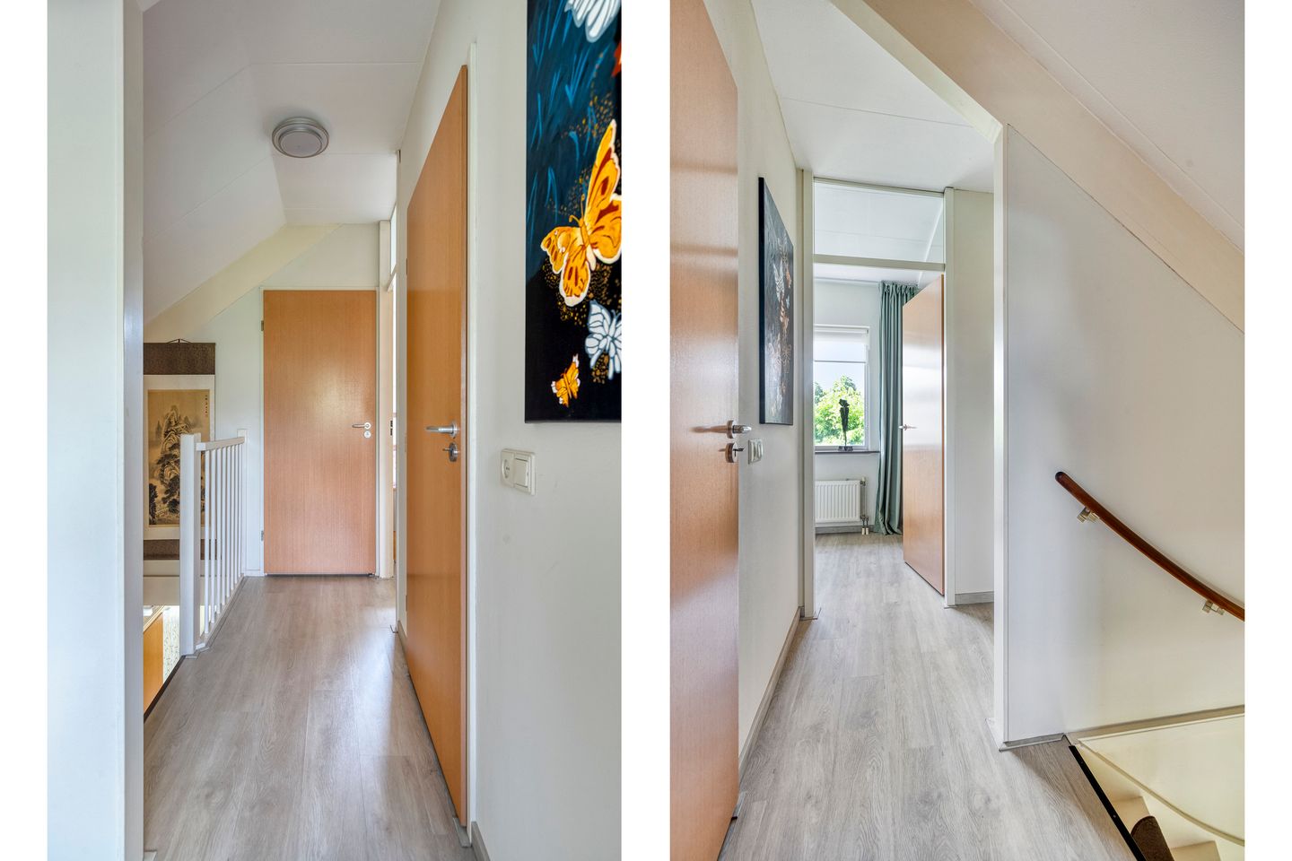 Photo 19 of IJslandmos 19