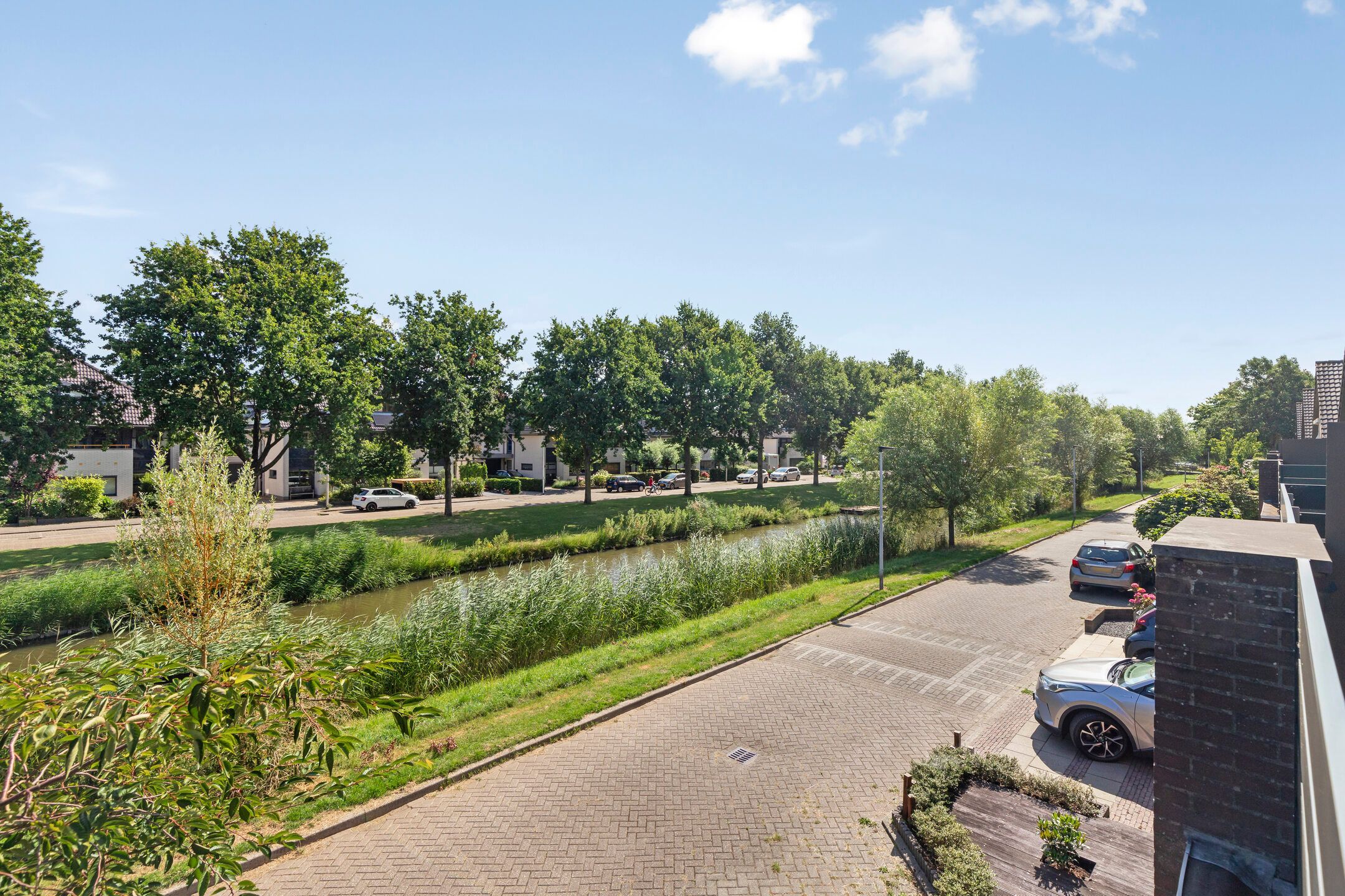 Photo 21 of IJslandmos 19