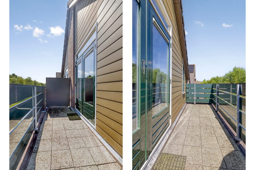 Photo 22 of IJslandmos 19