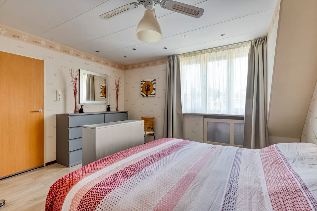 Photo 26 of IJslandmos 19