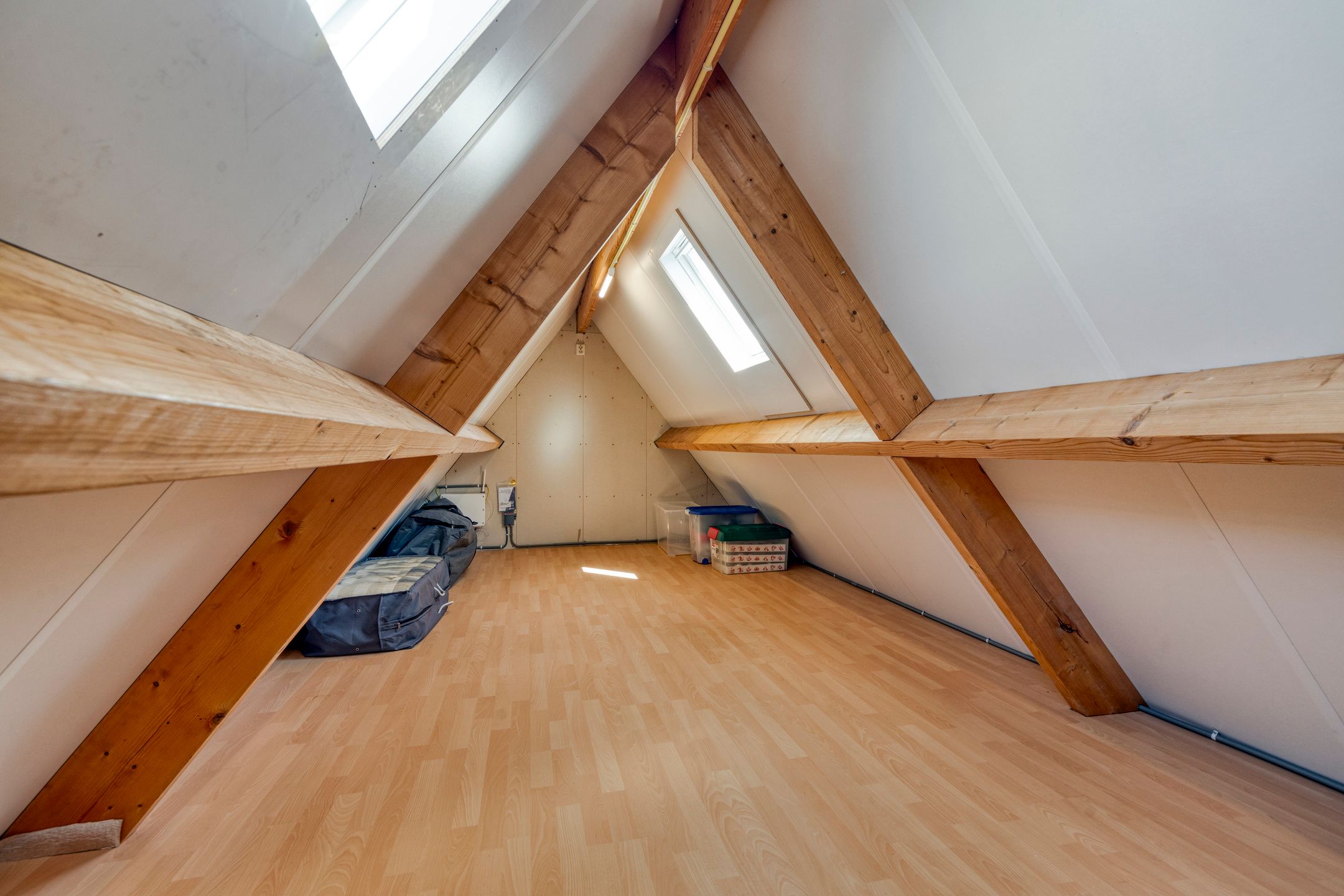 Photo 30 of IJslandmos 19