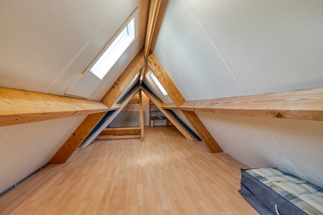 Photo 31 of IJslandmos 19