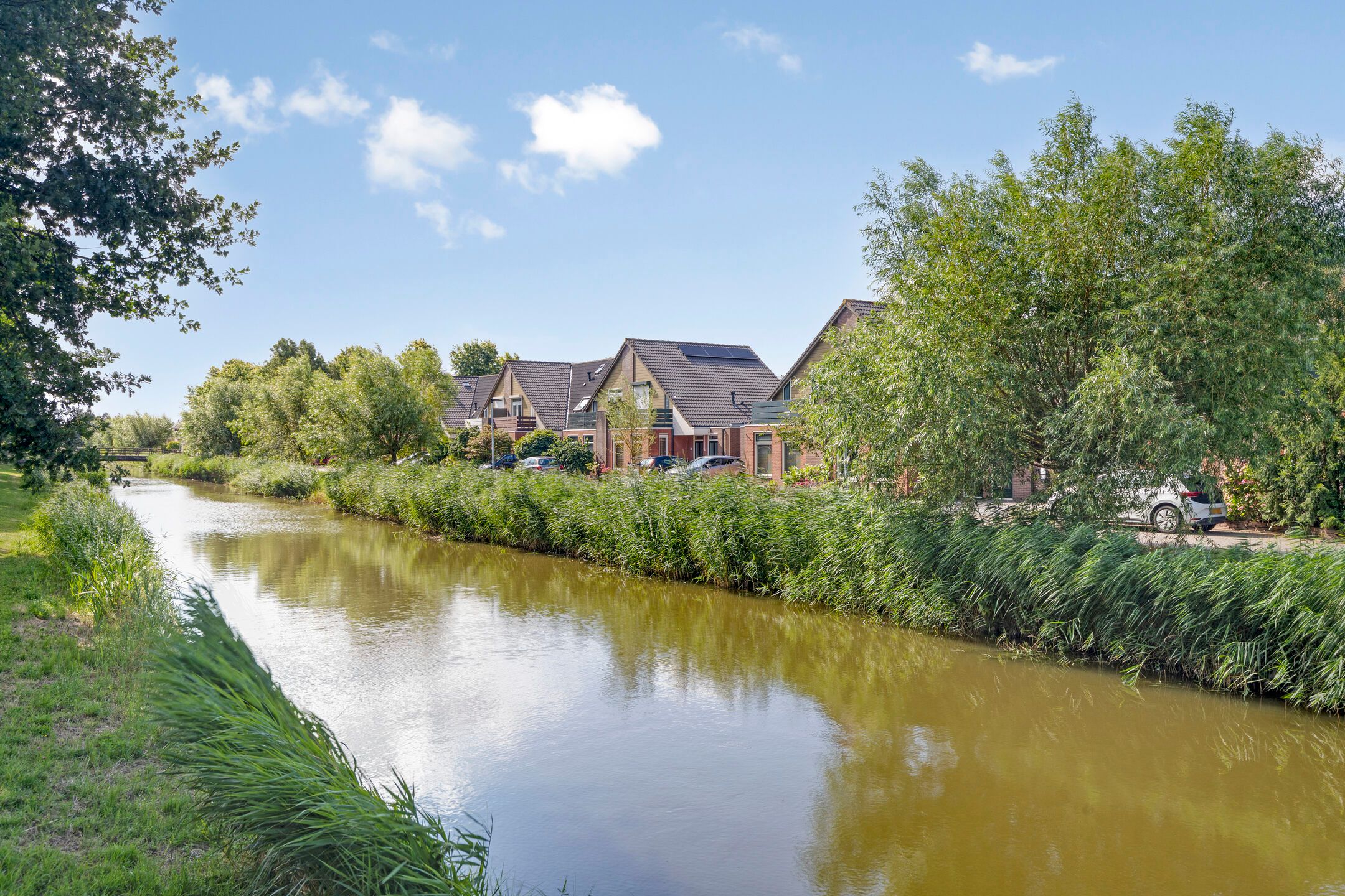 Photo 33 of IJslandmos 19