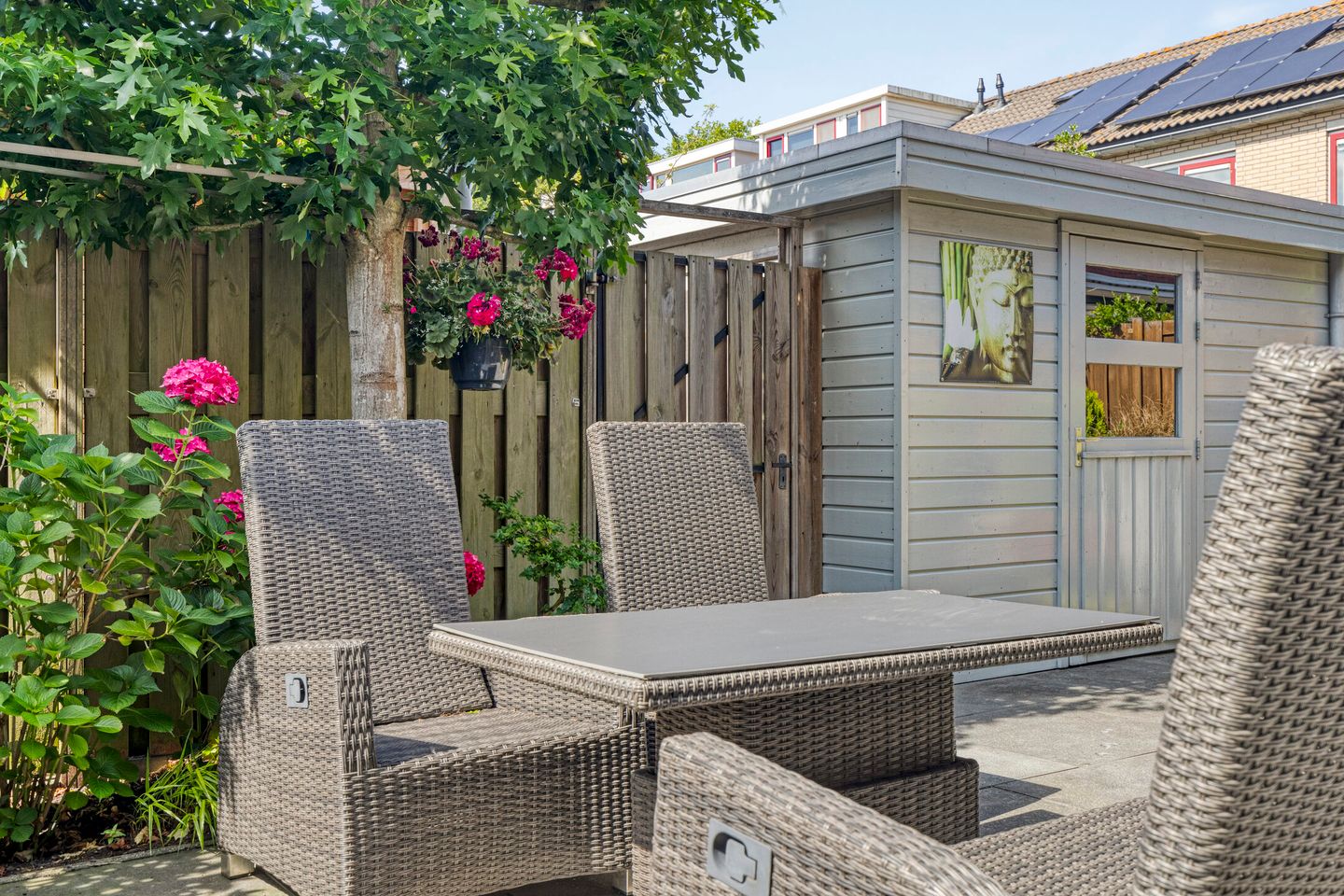 Photo 14 of IJslandmos 19