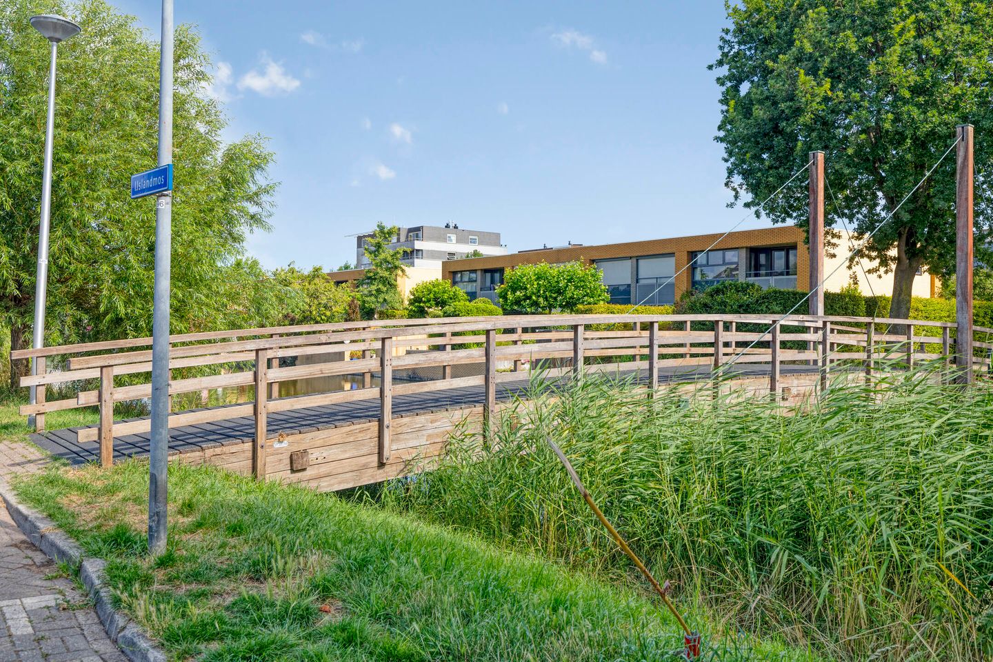 Photo 34 of IJslandmos 19