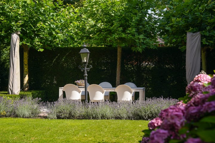 Photo 5 of Burgemeester Meslaan 1