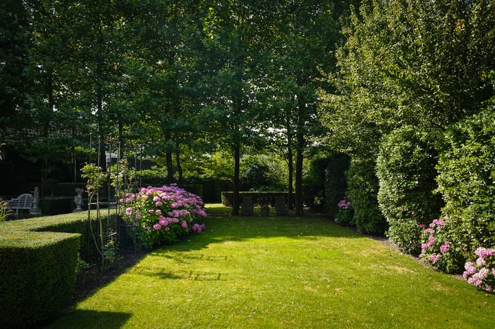 Photo 44 of Burgemeester Meslaan 1