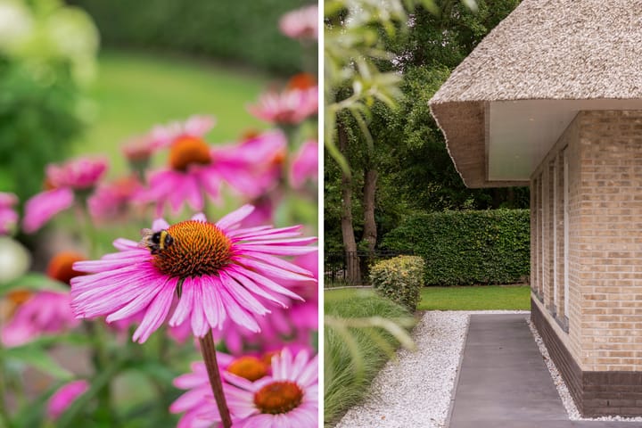 Photo 50 of Kaetsjemuoi-wei 7