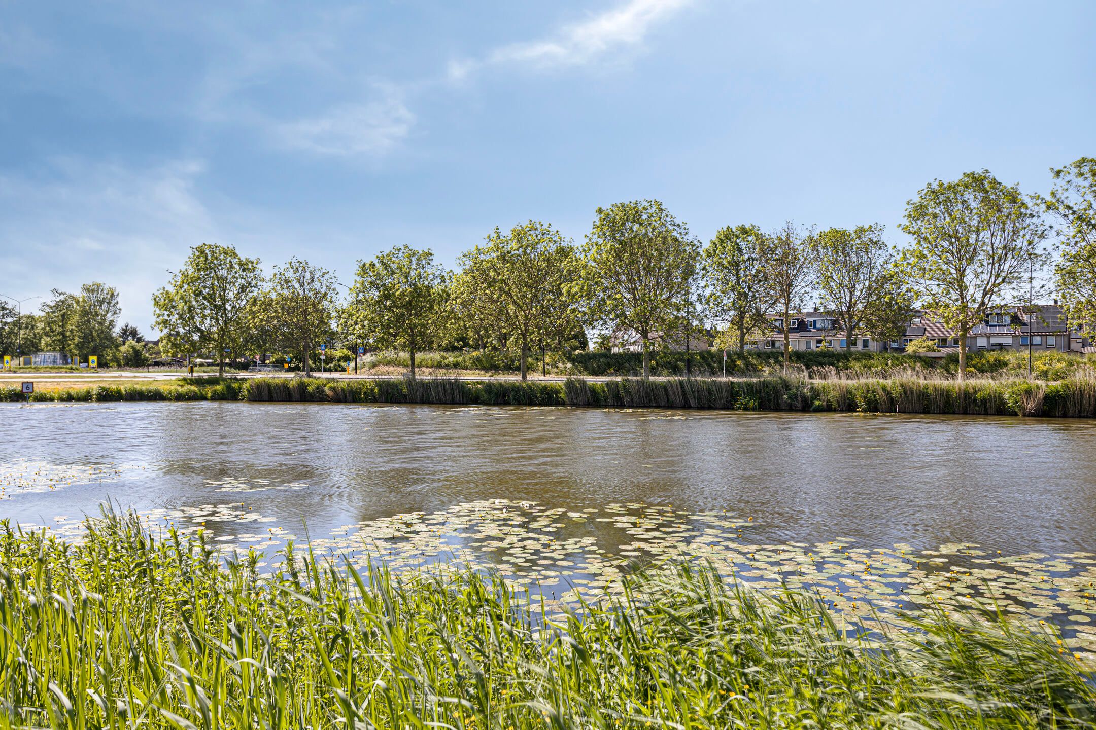 Photo 27 of Tjaarlingermeer 118