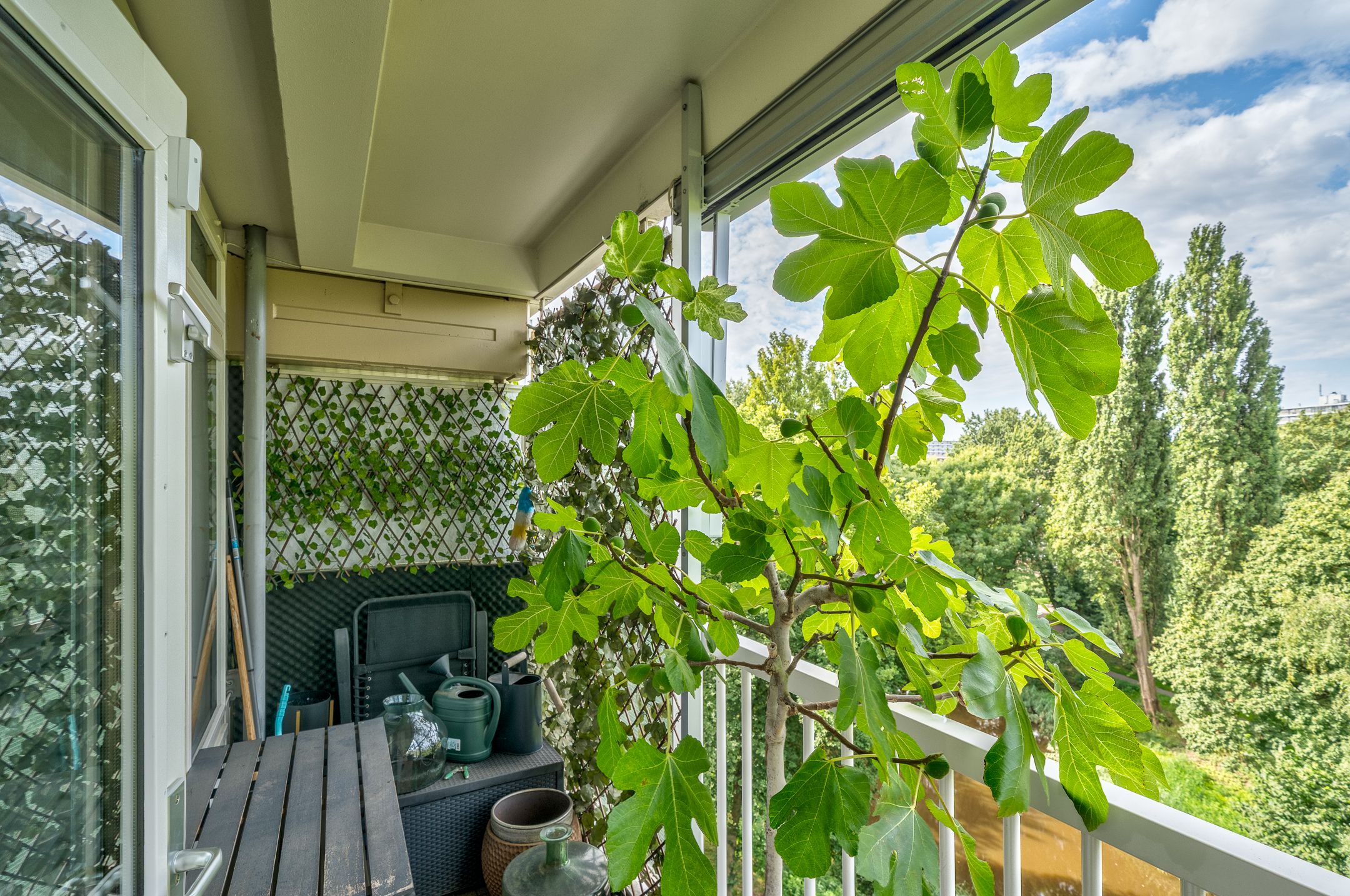 Foto 12 van Anatole Franceplaats 694