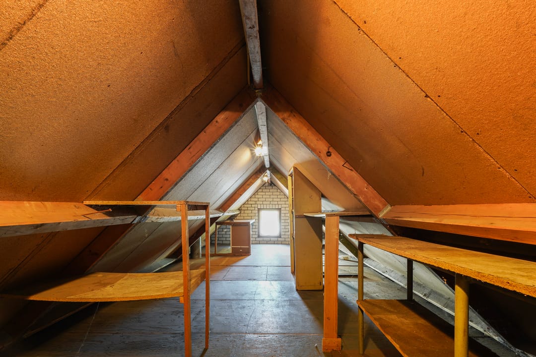 Foto 43 van Nicolaas van Eschstraat 32