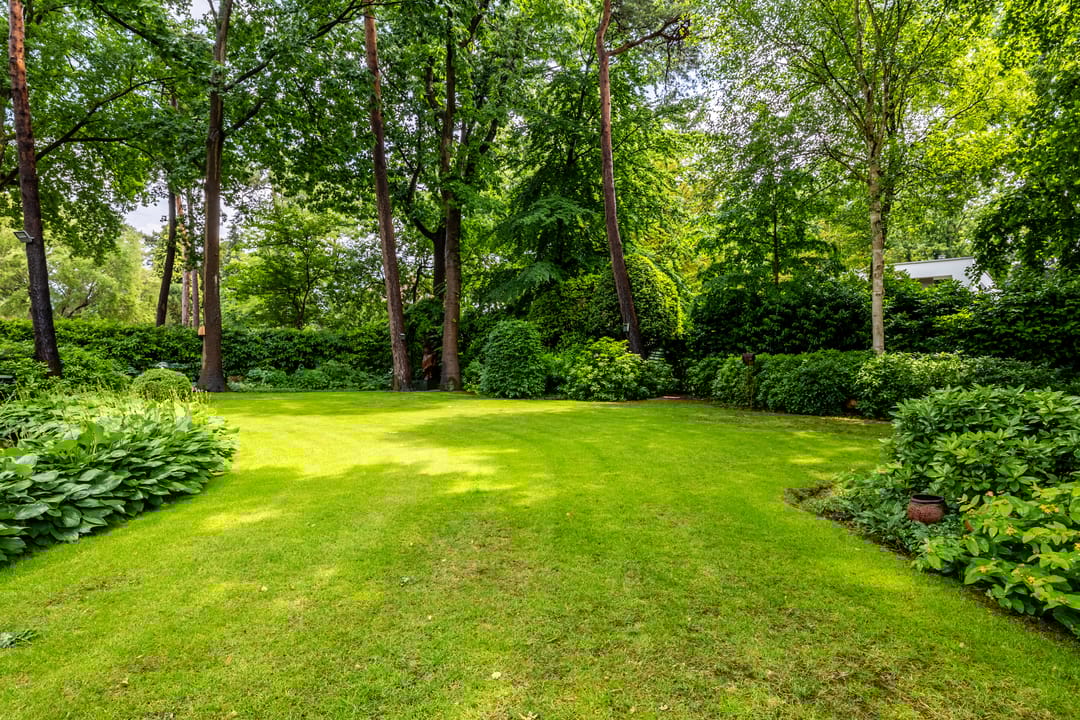 Foto 32 van Ruitersboslaan 31