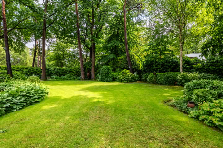 Foto 32 van Ruitersboslaan 31