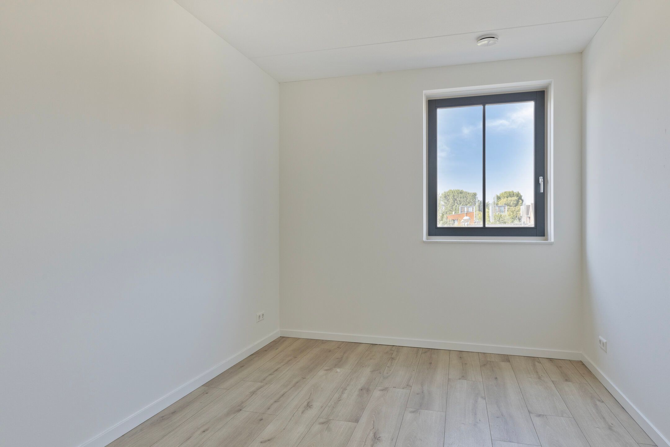 Foto 15 van Liniewal 86