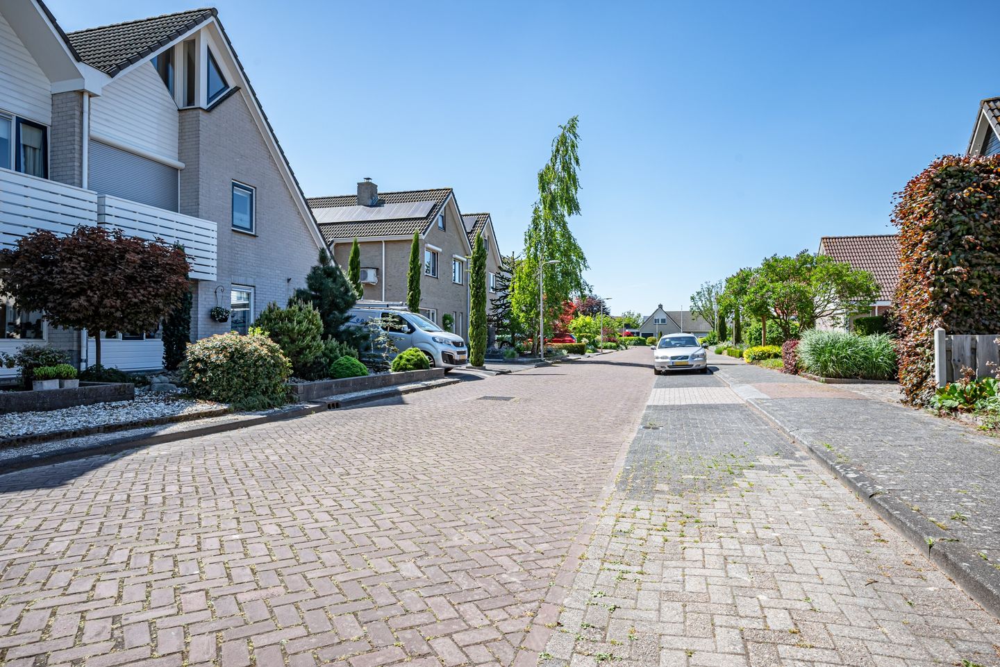 Photo 4 of Ameland 3