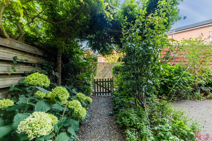 Foto 27 van Dudoksingel 23