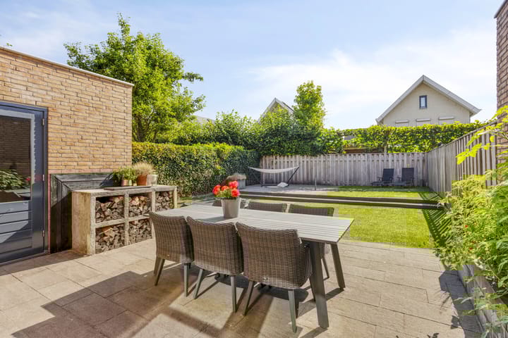 Foto 31 van Havikskruid 33