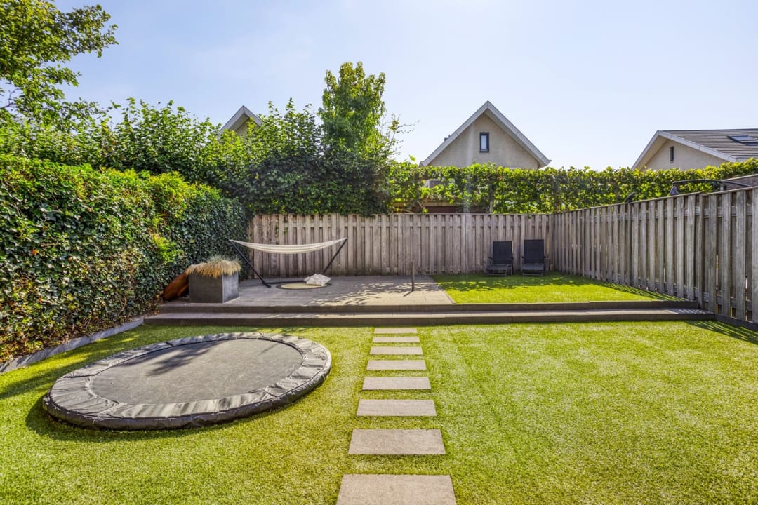 Photo 32 of Havikskruid 33