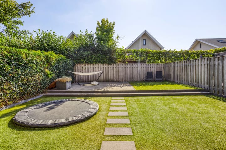 Foto 32 van Havikskruid 33