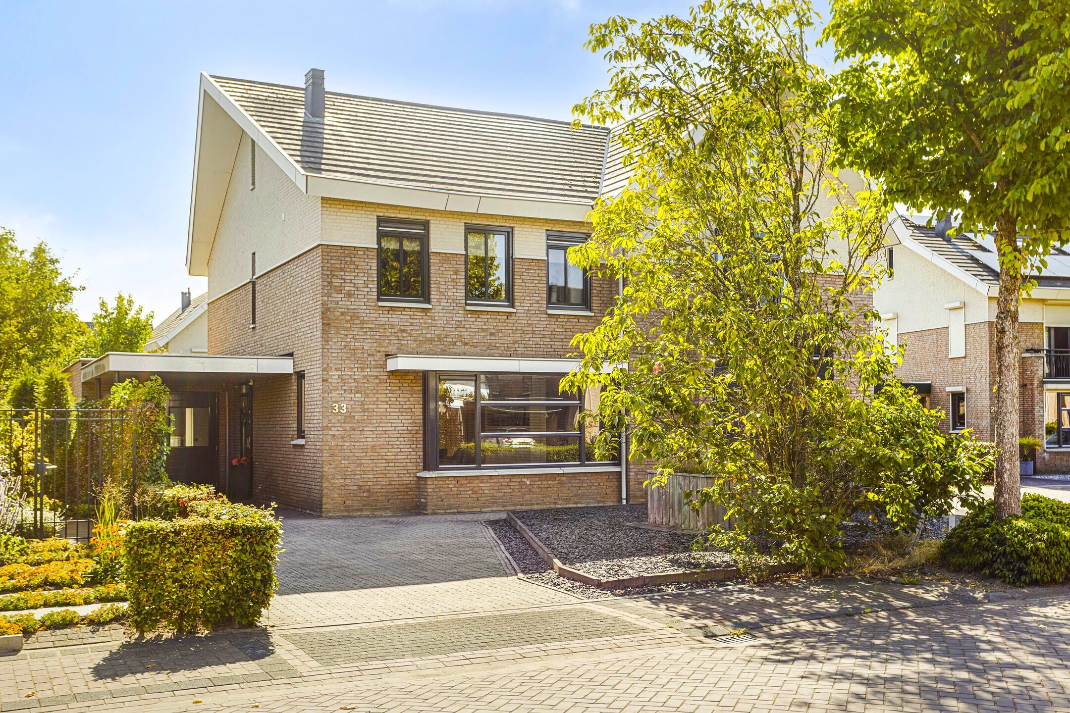 Photo 33 of Havikskruid 33