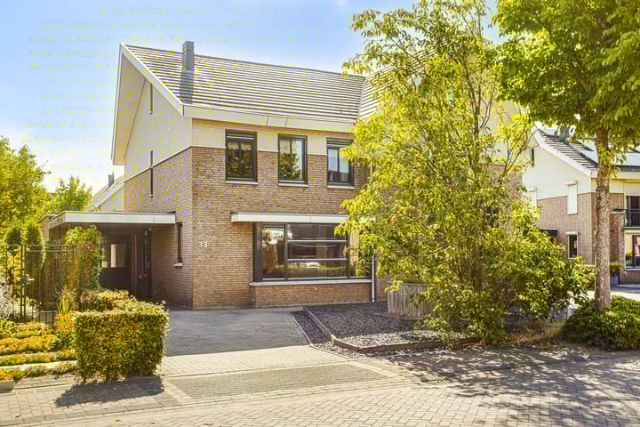 Foto 33 van Havikskruid 33