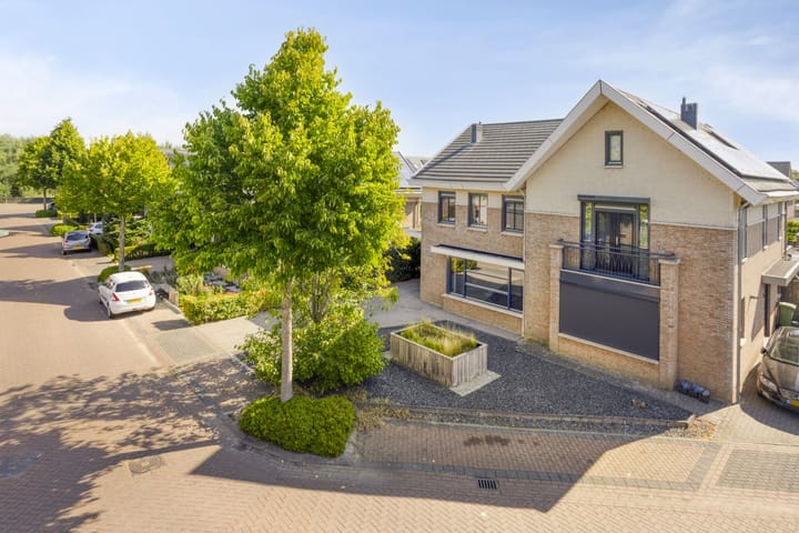 Foto 34 van Havikskruid 33