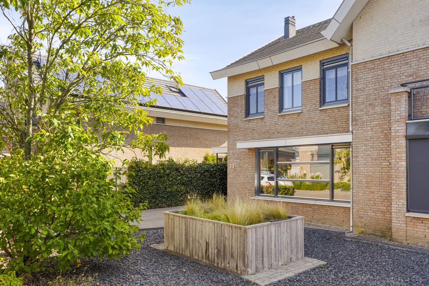 Photo 35 of Havikskruid 33