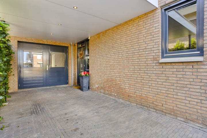 Foto 38 van Havikskruid 33