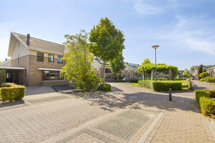 Foto 40 van Havikskruid 33