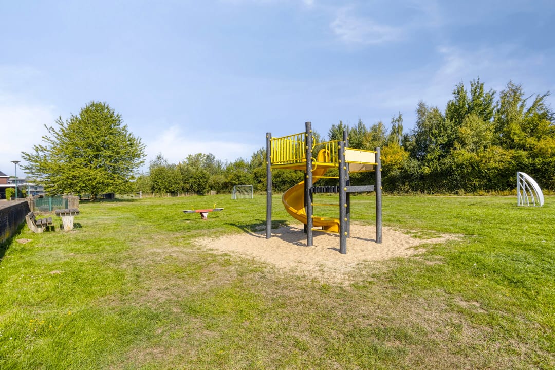 Photo 41 of Havikskruid 33